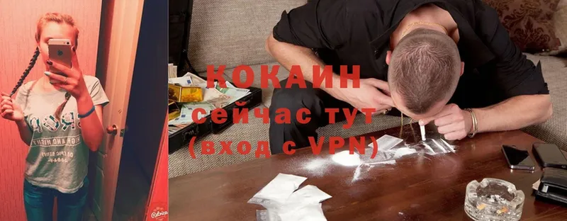 COCAIN Эквадор  Дивногорск 